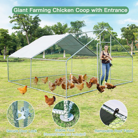 Gallinero transitable de 13 x 13 pies con cubierta impermeable para granja de patio exterior