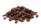 Fudge Brownie