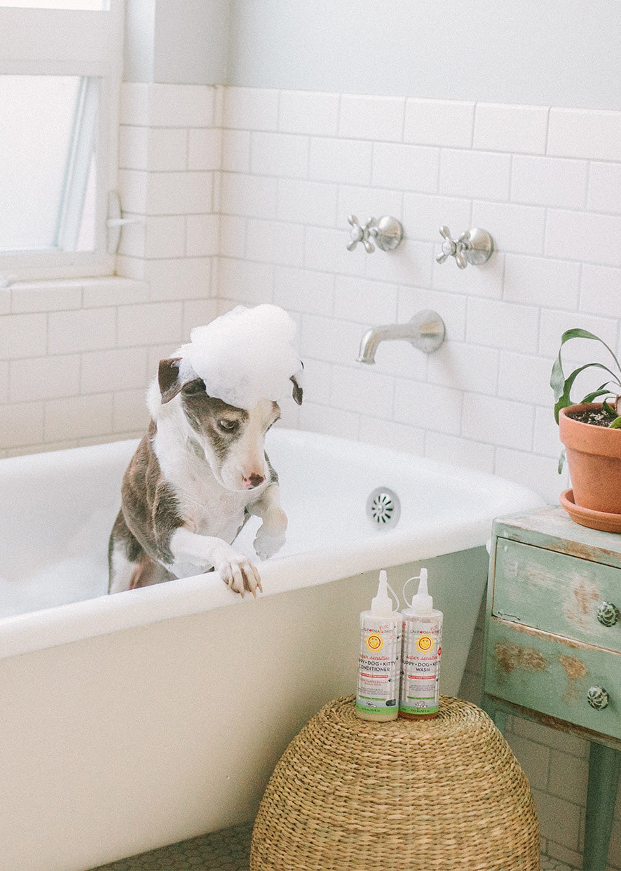 (Sin fragancia) Acondicionador Super Sensitive™ para cachorros y gatos