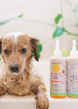 (Sin fragancia) Juego de champú y acondicionador Super Sensitive™ para cachorros, perros y gatitos