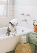 (Sin fragancia) Juego de champú y acondicionador Super Sensitive™ para cachorros, perros y gatitos