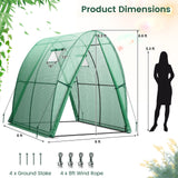 6 x 6 x 6.6 FT Outdoor Wall-in Tunnel Greenhouse