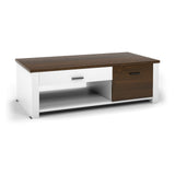 Mesa de centro moderna con cajones frontales y traseros y compartimentos para sala de estar