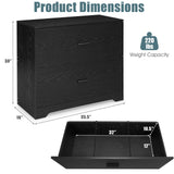 2-Drawer Lateral File Cabinet with Adjustable Bars for Home and Office