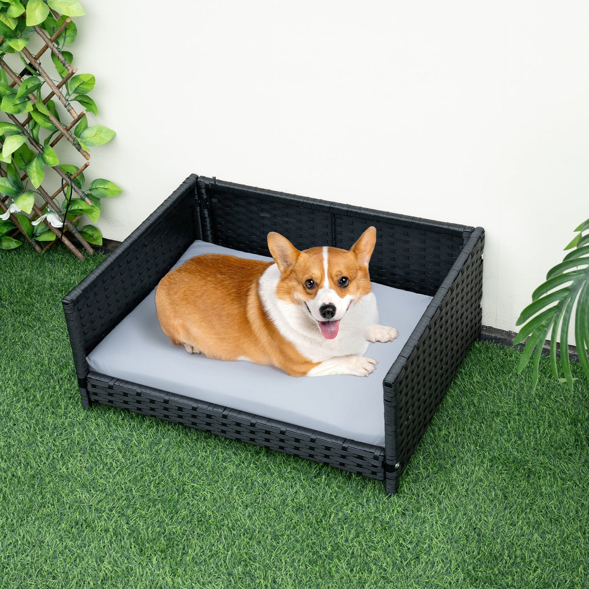 Cama de mimbre para perros con cojín suave impermeable para perros y gatos pequeños y medianos - Gris