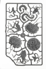 Dungeons & Lasers: Ancient Brain