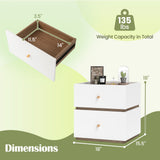 2-Drawer Modern Nightstand with Storage for Living Room Bedroom