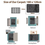 4x6 Feet Modern Soft Shag Rug with Non