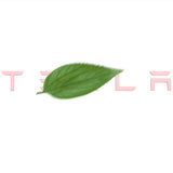 Tailgate Lettered Rear Logo Replacement For Tesla Model 3/Y