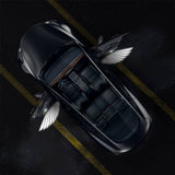 TESERY Angel Wings Door Welcome Lights for Model 3/Y/S/X