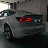 TESERY Eagle Eye Taillight Upgrade for Model 3/Y