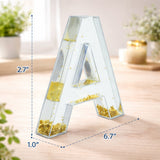 Letter A Glitter-Filled Acrylic Snow Globe