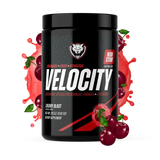 VELOCITY
