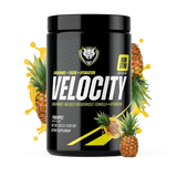 VELOCITY