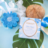 Jengibre blanco | Búfer hawaiano