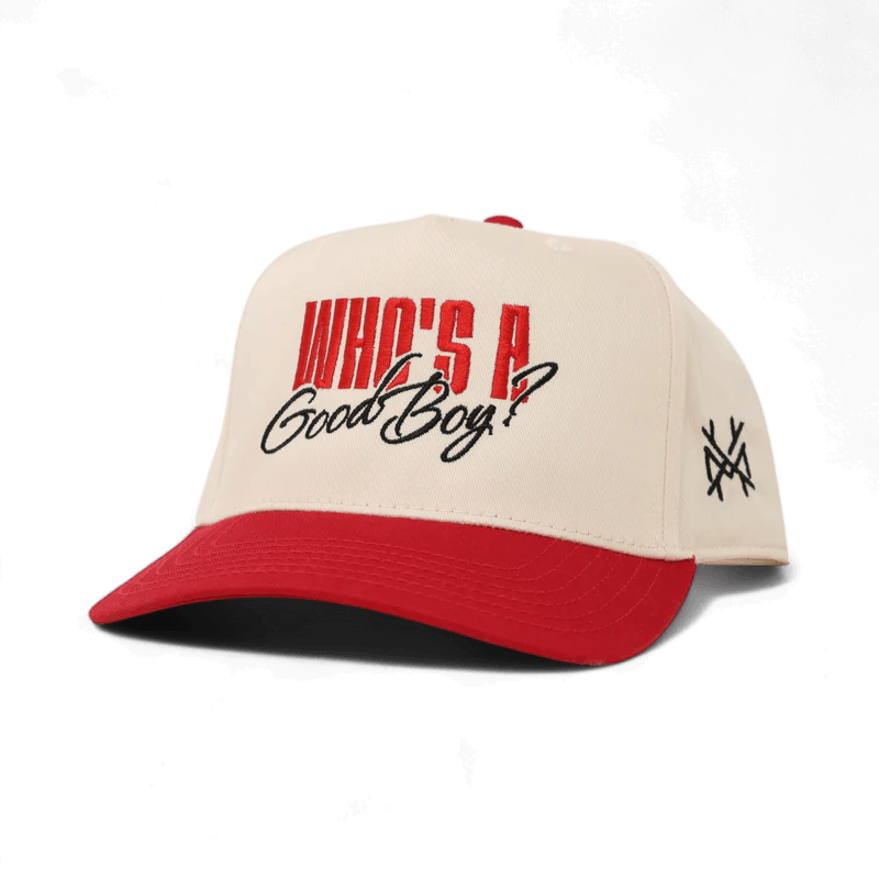 Gorra Ajustable "¿Quién es un buen chico?"