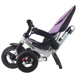 Triciclo Cochecito de Aprendizaje 4 en 1 Desmontable para Bebé con Toldo y Bolso - Rosa